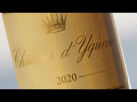 Awakening the senses - Château d'Yquem 2020