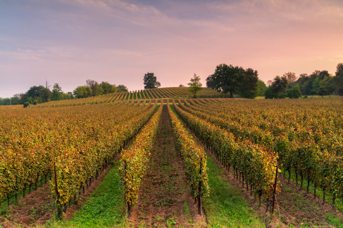 Franciacorta