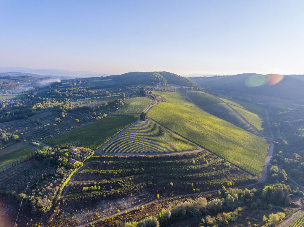 Marchesi Antinori, Tenuta Tignanello