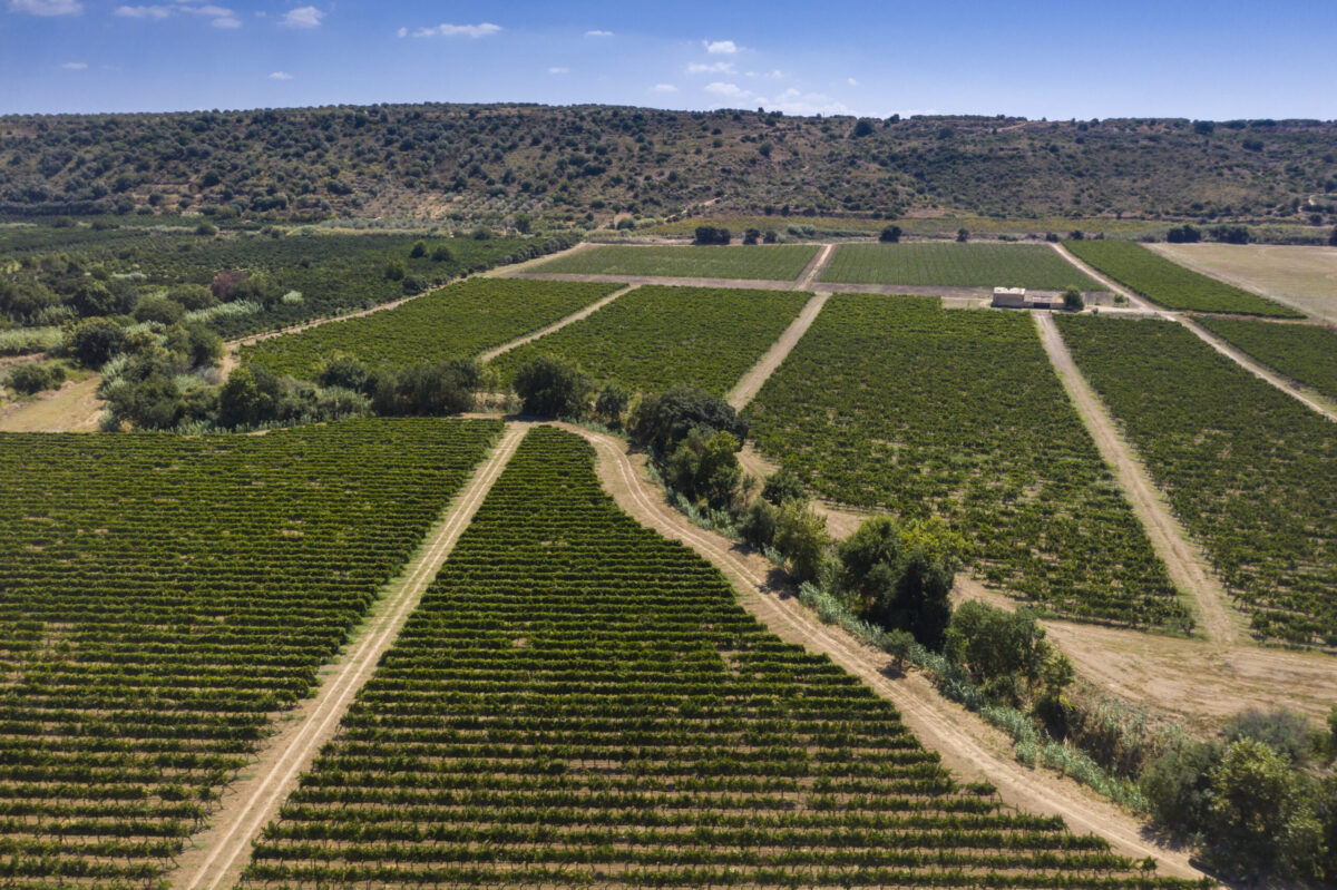 Tenuta di Vittoria Donnafugata