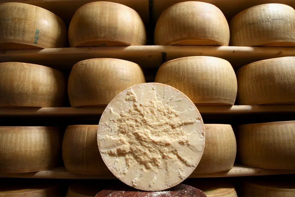 PARMIGIANO REGGIANO