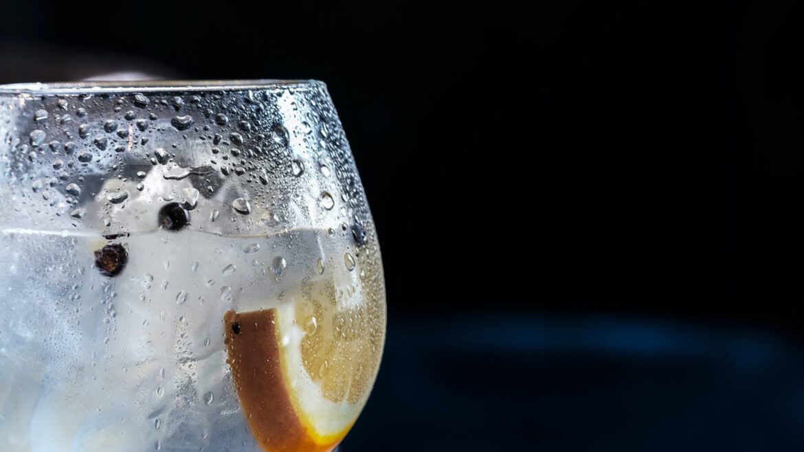 gin tonic langhe