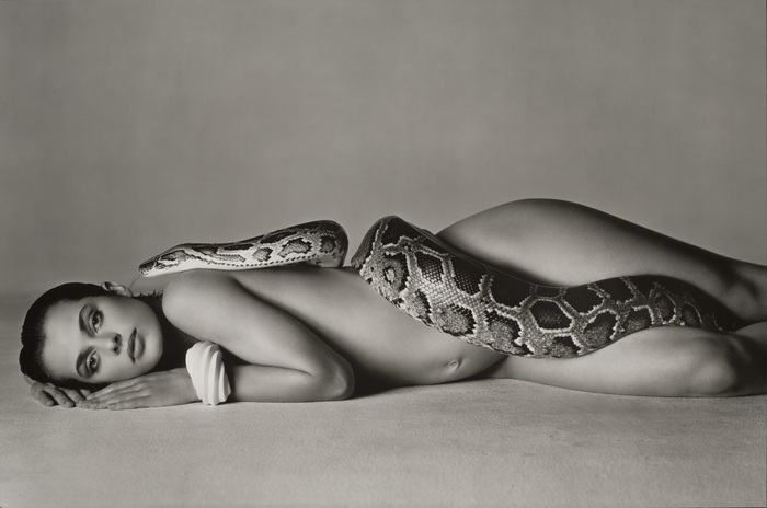 Richard Avedon (ph official website Palazzo reale, Milano)